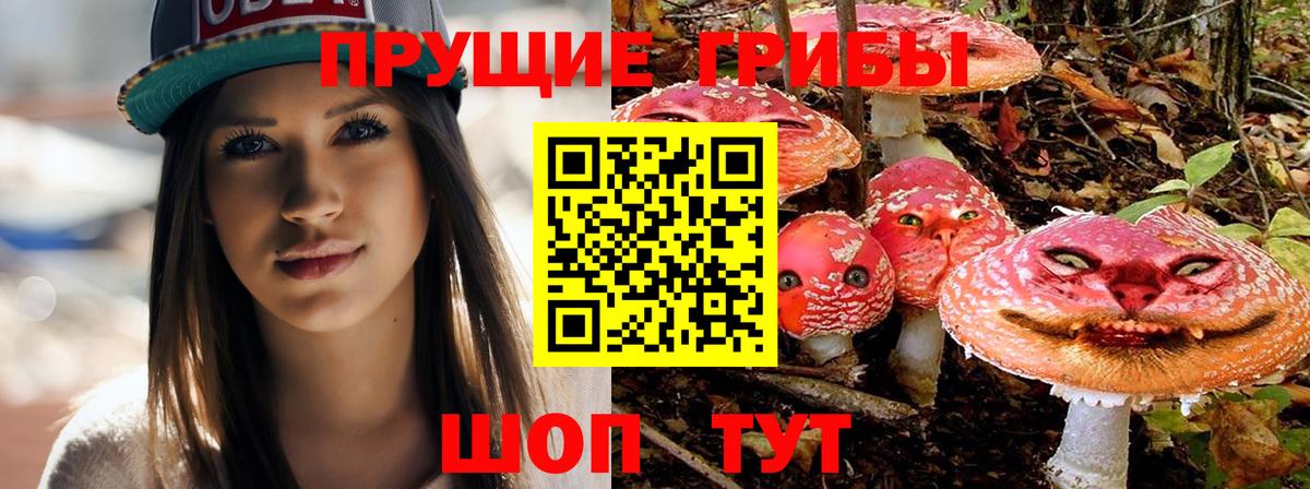 Хабаровск  Псилоцибиновые грибы Cubensis  Вход с VPN  Псилоцибиновые грибы Psilocybine cubensis 